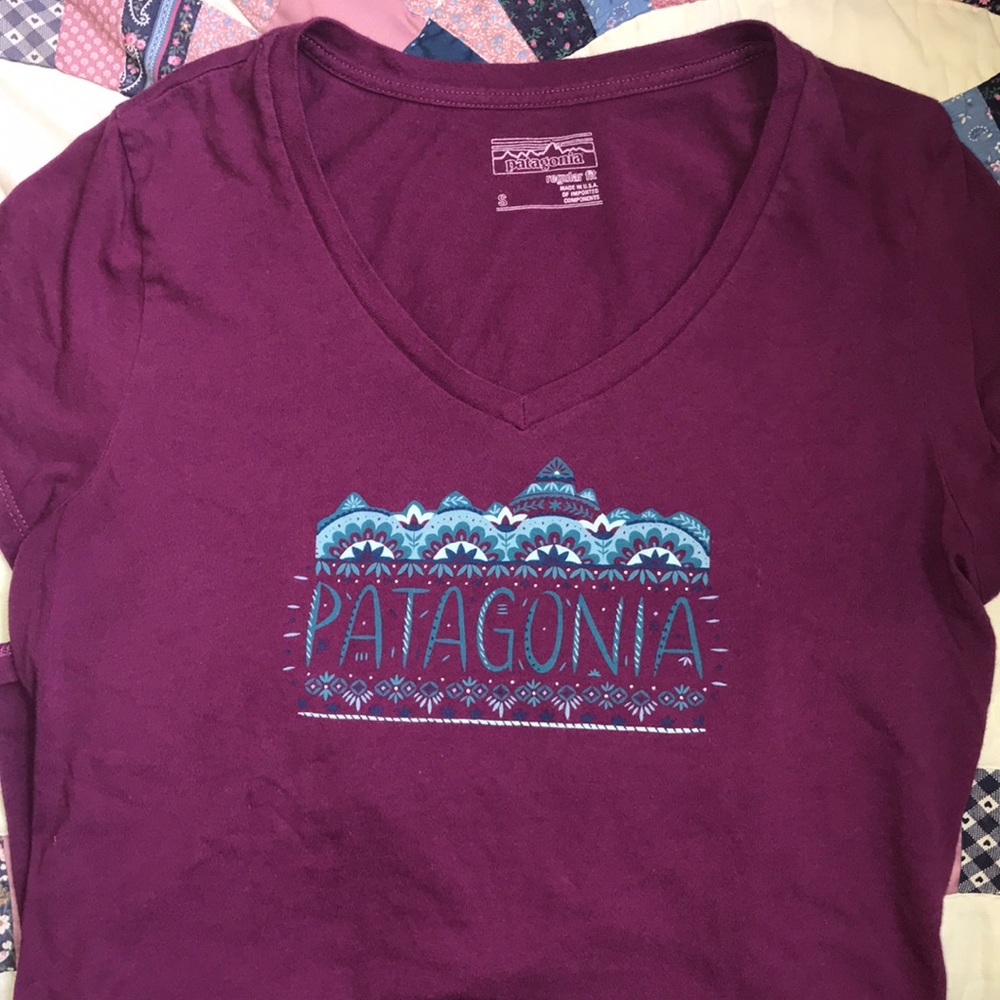 Patagonia V-Neck Graphic Tee